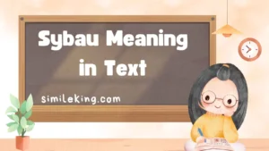 Read more about the article Sybau Meaning in Text: Stand For and Definition<div class="last-updated" style="font-size:14px; font-weight:bold; color:#444; background:#f5f5f5; padding:10px; border-radius:5px; margin-top:10px; margin-bottom:20px;">
                 Last updated: August 17, 2025 at 4:46 am by Charles
            </div>