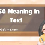 WSG Meaning in Text: Definition, Usage, and Alternatives in 2025