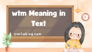 Read more about the article wtm Meaning in Text: Definition, Usage, and Alternatives in 2025<div class="last-updated" style="font-size:14px; font-weight:bold; color:#444; background:#f5f5f5; padding:10px; border-radius:5px; margin-top:10px; margin-bottom:20px;">
                 Last updated: August 17, 2025 at 4:47 am by Charles
            </div>