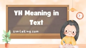 Read more about the article YH Meaning in Text: The 2025 Guide to Usage, Tone, and Alternatives<div class="last-updated" style="font-size:14px; font-weight:bold; color:#444; background:#f5f5f5; padding:10px; border-radius:5px; margin-top:10px; margin-bottom:20px;">
                 Last updated: August 24, 2025 at 9:55 am by Charles
            </div>