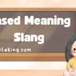 Based Meaning Slang: Stand For and Meaning in Text and Definition
