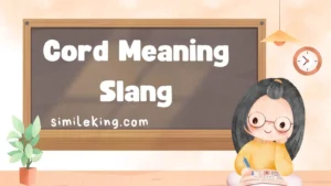 Read more about the article Cord Meaning Slang: Stand For, Definition, and Usage in 2025<div class="last-updated" style="font-size:14px; font-weight:bold; color:#444; background:#f5f5f5; padding:10px; border-radius:5px; margin-top:10px; margin-bottom:20px;">
                 Last updated: September 16, 2025 at 5:52 am by Charles
            </div>