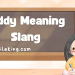 Diddy Meaning Slang: Definition, Usage, and Modern Context (2025 Guide)