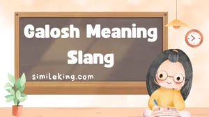 Read more about the article Galosh Meaning Slang: A Complete 2025 Guide<div class="last-updated" style="font-size:14px; font-weight:bold; color:#444; background:#f5f5f5; padding:10px; border-radius:5px; margin-top:10px; margin-bottom:20px;">
                 Last updated: September 10, 2025 at 5:56 am by Charles
            </div>