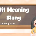 Jit Meaning Slang: Definition, Usage & Modern Context (2025 Guide)