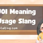 JOI Meaning Usage Slang