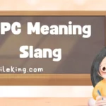 NPC Meaning Slang