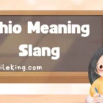 Ohio Meaning Slang: Stand For And Meaning in Text and Definition