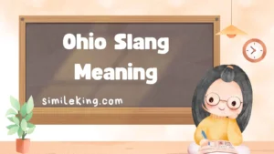 Read more about the article Ohio Slang Meaning: The Complete Guide to Buckeye State Expressions (2025 Edition)<div class="last-updated" style="font-size:14px; font-weight:bold; color:#444; background:#f5f5f5; padding:10px; border-radius:5px; margin-top:10px; margin-bottom:20px;">
                 Last updated: September 1, 2025 at 5:04 am by Charles
            </div>