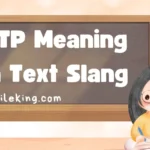 OTP Meaning in Text Slang: Complete 2025 Guide