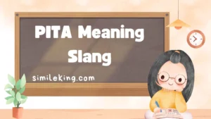Read more about the article PITA Meaning Slang: Definition, Usage, and Alternatives (2025 Guide)<div class="last-updated" style="font-size:14px; font-weight:bold; color:#444; background:#f5f5f5; padding:10px; border-radius:5px; margin-top:10px; margin-bottom:20px;">
                 Last updated: September 13, 2025 at 5:06 am by Charles
            </div>