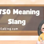 PTSO Meaning Slang: Definition, Usage, and Polite Alternatives in 2025