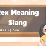 Rex Meaning Slang: Definition, Usage in Text, and Best Alternatives (2025 Guide)