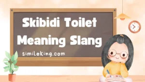 Read more about the article Skibidi Toilet Meaning Slang: Understanding the Viral Expression in 2025<div class="last-updated" style="font-size:14px; font-weight:bold; color:#444; background:#f5f5f5; padding:10px; border-radius:5px; margin-top:10px; margin-bottom:20px;">
                 Last updated: September 17, 2025 at 5:32 am by Charles
            </div>