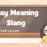 Slay Meaning Slang: 2025 Updated Guide to Definition, Usage, and Examples