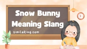 Read more about the article Snow Bunny Meaning Slang: Definition, Origins, and Alternatives (2025 Guide)<div class="last-updated" style="font-size:14px; font-weight:bold; color:#444; background:#f5f5f5; padding:10px; border-radius:5px; margin-top:10px; margin-bottom:20px;">
                 Last updated: September 8, 2025 at 6:15 am by Charles
            </div>