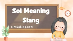 Read more about the article Sol Meaning Slang: Definition, Origins, and 2025 Usage Explained<div class="last-updated" style="font-size:14px; font-weight:bold; color:#444; background:#f5f5f5; padding:10px; border-radius:5px; margin-top:10px; margin-bottom:20px;">
                 Last updated: September 10, 2025 at 6:14 am by Charles
            </div>