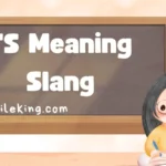 TS Meaning Slang: The 2025 Complete Guide to Usage, Context, and Alternatives