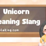 Unicorn Meaning Slang: The Complete 2025 Guide