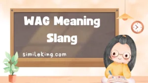 Read more about the article WAG Meaning Slang: Full 2025 Guide with Definition, Usage & Examples<div class="last-updated" style="font-size:14px; font-weight:bold; color:#444; background:#f5f5f5; padding:10px; border-radius:5px; margin-top:10px; margin-bottom:20px;">
                 Last updated: September 11, 2025 at 5:17 am by Charles
            </div>