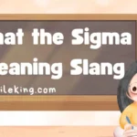 What the Sigma Meaning Slang (2025 Updated Guide)